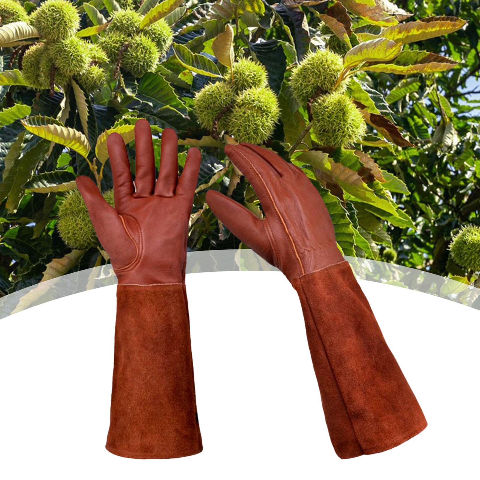 Guantes de soldadura, guantes  - Youtube Leatherwork reseña y precio